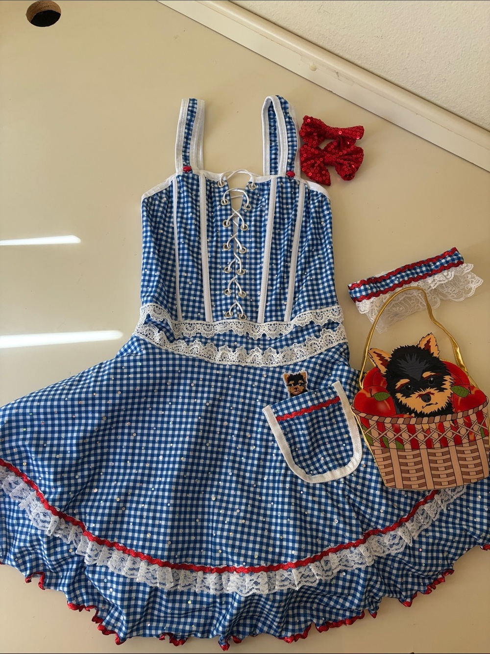 Vintage 2000s Dorothy Halloween costume